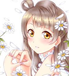 Rule 34 | 1girl, artist name, artist request, bare shoulders, blush, brown eyes, brown hair, earrings, female focus, flower, flower earrings, grey hair, hiro9779, jewelry, light brown hair, long hair, love live!, love live! school idol project, minami kotori, nail polish, parted lips, petals, pink nails, smile, solo, white background, white flower, white petals