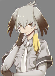 Rule 34 | 10s, 1girl, black hair, bodystocking, brown eyes, closed mouth, e draw paint, fingerless gloves, gloves, grey hair, grey shirt, hair between eyes, head wings, highres, kemono friends, long hair, looking at viewer, low ponytail, multicolored hair, necktie, shirt, shoebill (kemono friends), short sleeves, side ponytail, solo, wings