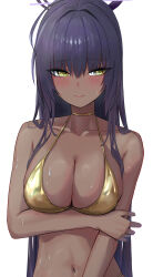 Rule 34 | 1girl, absurdres, bikini, black hair, blue archive, blush, breasts, choker, cleavage, closed mouth, collarbone, commentary request, dark-skinned female, dark skin, gold bikini, gold choker, halo, highres, karin (blue archive), large breasts, long hair, navel, purple halo, simple background, swimsuit, takeda yousuke, white background, yellow eyes