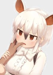 Rule 34 | 1girl, absurdres, animal ears, black hair, bow, bowtie, brown eyes, center frills, commentary, deku suke, extra ears, finger in another&#039;s mouth, frills, fur collar, gradient hair, grey background, hair between eyes, highres, kemono friends, multicolored hair, out of frame, shirt, short hair, simple background, solo focus, southern tamandua (kemono friends), tamandua ears, trembling, upper body, white hair, white neckwear, white shirt
