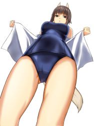 Rule 34 | 1girl, absurdres, animal ears, bad id, bad pixiv id, brown eyes, brown hair, cameltoe, dog ears, dog tail, from below, goji (five clock), highres, looking at viewer, one-piece swimsuit, open mouth, school swimsuit, short hair, solo, strike witches, strike witches: kurenai no majo-tachi, swimsuit, tail, takei junko, world witches series
