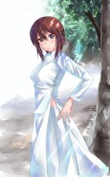 Rule 34 | 1girl, bad id, bad pixiv id, brown eyes, brown hair, closed mouth, commentary, dappled sunlight, day, dress, eno (mauritz stiller), from side, girls und panzer, high collar, highres, long dress, long sleeves, looking at viewer, nishizumi maho, outdoors, pants, short hair, side slit, smile, solo, standing, sunlight, tree, vietnamese dress, white dress, white pants