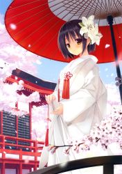 Rule 34 | 1girl, absurdres, highres, japanese clothes, miko, takashina masato, umbrella
