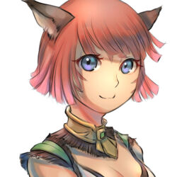 Rule 34 | 1girl, animal ears, adventurer (ff11), blue eyes, breasts, cactus41747280, cat ears, cleavage, closed mouth, facial mark, final fantasy, final fantasy xi, medium breasts, mithra (ff11), no eyebrows, red hair, short hair, simple background, smile, solo, whisker markings, white background