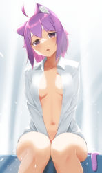 Rule 34 | :o, absurdres, ahoge, animal ear fluff, animal ears, arms between legs, belly, blouse, blush, breasts, cat ears, cat tail, curtains, feet out of frame, hair between eyes, head tilt, highres, hololive, knees together feet apart, looking at viewer, medium breasts, naked shirt, navel, nekomata okayu, open clothes, open mouth, open shirt, purple eyes, purple hair, shirt, short hair, sitting, sunlight, tail, virtual youtuber, white shirt