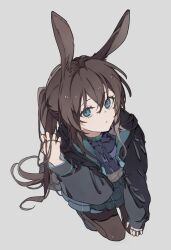 Rule 34 | 1girl, absurdres, amiya (arknights), animal ears, arknights, ascot, black jacket, blue ascot, blue skirt, brown hair, brown pantyhose, commentary, ellygretta, extra ears, full body, grey background, hand in own hair, hand on own knee, highres, holding, holding own hair, jacket, long hair, long sleeves, looking at viewer, open clothes, open jacket, open mouth, pantyhose, plaid, plaid skirt, ponytail, rabbit ears, rabbit girl, simple background, skirt, solo, very long hair
