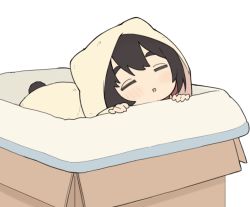 Rule 34 | 1girl, = =, animal ears, black hair, blush, box, cardboard box, closed eyes, commentary request, eyebrows hidden by hair, facing viewer, in box, in container, original, parted lips, seramikku, simple background, sleeping, solo, tail, thick eyebrows, white background