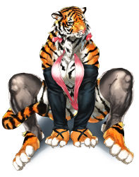 Rule 34 | 1girl, animal ears, animal hands, barefoot, breasts, cleavage, feet, female focus, full body, furry, furry female, gradient background, hair ribbon, large breasts, lingerie, looking at viewer, madnote, ribbon, sitting, solo, swimsuit, tail, tiger, toes, underwear, white background
