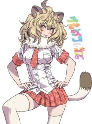 Rule 34 | 10s, 1girl, animal ears, blonde hair, blouse, closed mouth, commentary, copyright name, cowboy shot, fur collar, highres, kemono friends, leg up, lion (kemono friends), lion ears, lion tail, long hair, looking at viewer, medium hair, miniskirt, necktie, pink necktie, pink skirt, plaid, plaid necktie, plaid neckwear, plaid skirt, pleated skirt, shirt, short sleeves, simple background, skirt, smirk, solo, standing, tail, thighhighs, white background, white shirt, white thighhighs, yamashita shun&#039;ya