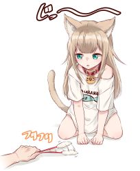 Rule 34 | 1girl, 40hara, animal collar, animal ear fluff, animal ears, cat ears, cat girl, cat tail, cat teaser, clothes writing, collar, commentary request, green eyes, highres, kinako (40hara), long hair, original, shirt, solo focus, t-shirt, tail, translated