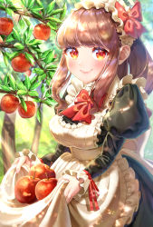 Rule 34 | 1girl, apple, apple tree, apron, apron basket, apron lift, black dress, blunt bangs, blush, bow, bowtie, branch, breasts, brown hair, clothes lift, commentary, cowboy shot, day, dress, food, fruit, hairband, highres, juliet sleeves, leaf, lifted by self, light rays, lolita hairband, long sleeves, looking at viewer, maid apron, medium breasts, medium hair, onene, original, outdoors, ponytail, puffy sleeves, red bow, red bowtie, red eyes, sidelocks, smile, solo, standing, sunbeam, sunlight, tree