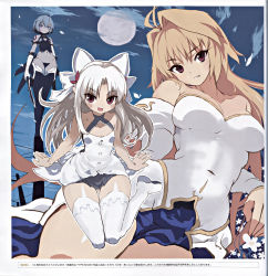 Rule 34 | 00s, 3girls, absurdres, ahoge, archetype earth, arcueid brunestud, bandages, bare shoulders, black panties, blonde hair, blue eyes, blue hair, blue legwear, blush, boots, bow, bow panties, breasts, cleavage, curvy, detached sleeves, dress, dual wielding, fang, fate/apocrypha, fate (series), female focus, flat chest, full moon, grin, hair bow, hair intakes, halterneck, happy, highleg, highleg panties, highres, holding, jack the ripper (fate/apocrypha), large breasts, long hair, looking at viewer, melty blood, miniskirt, moon, multiple girls, night, no bra, open mouth, outdoors, panties, pointy ears, red eyes, sanada taketo, scan, shiny skin, short hair, skirt, sky, smile, standing, string panties, tattoo, thigh boots, thighhighs, thong, tsukihime, type-moon, underwear, weapon, white hair, white legwear, white len (tsukihime)