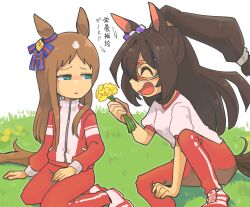 Rule 34 | 2girls, animal ears, blue eyes, bow, brown hair, domino mask, ear bow, ear ribbon, ear scrunchie, el condor pasa (umamusume), flower, grass wonder (umamusume), hair between eyes, highres, holding, holding flower, horse ears, horse girl, horse tail, jacket, jiima tarou, long hair, long sleeves, looking at another, mask, multicolored hair, multiple girls, open mouth, pants, ponytail, shirt, shoes, sitting, smile, tail, track jacket, track suit, translation request, umamusume, yellow flower