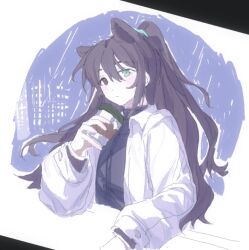 Rule 34 | 1boy, animal ears, black eyes, blue eyes, blue hair, blue shirt, city lights, closed mouth, cup, disposable cup, half updo, heterochromia, holding, holding cup, hong lu (project moon), limbus company, long hair, long sleeves, male focus, nishiirei9522, project moon, rain, shirt, simple background, solo, very long hair, white background