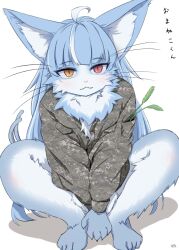 Rule 34 | 1boy, 4shi, :3, ahoge, animal ears, cat boy, cat ears, cat teaser, commentary, extra tails, furry, furry male, heterochromia, highres, japan air self-defense force, japan air self-defense force omaezaki sub-base, japan self-defense force, looking at viewer, military, military uniform, omaneko, red eyes, squatting, translated, trap, uniform, whiskers, white background, yellow eyes