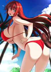 Rule 34 | 1boy, 1girl, ass, beach, bikini, blue eyes, blush, breasts, censored, dark-skinned male, dark skin, erection, high school dxd, highres, huge breasts, imminent penetration, interracial, long hair, looking back, mosaic censoring, open mouth, penis, red hair, rias gremory, surprised, swimsuit, torobakoya, veins, veiny penis