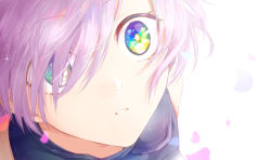 Rule 34 | 1girl, fate/grand order, fate (series), from above, hair between eyes, hair over one eye, karasaki, looking up, mash kyrielight, multicolored eyes, parted lips, petals, pink hair, portrait, short hair, simple background, solo, white background