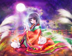 Rule 34 | 1girl, bamboo, black hair, rabbit, embellished costume, female focus, full moon, grass, hands in opposite sleeves, head tilt, houraisan kaguya, leaf, light particles, light trail, lips, long hair, looking at viewer, moon, night, night sky, outdoors, parted lips, railing, red eyes, robe, sky, solo, star (symbol), touhou, tsukiori sasa, very long hair, wooden floor