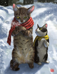 Rule 34 | animal focus, bad id, bad pixiv id, cat, commentary request, kitten, matataku, no humans, original, scarf, snow, snowing