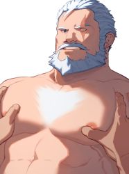 Rule 34 | 2boys, abs, bara, beard, blue eyes, chest hair, completely nude, facial hair, grabbing, groping, hair strand, highres, large pectorals, male focus, mature male, multiple boys, muscular, muscular male, mustache, nipples, nude, old, old man, overwatch, overwatch 1, pectoral focus, pectoral grab, pectorals, pov, reinhardt (overwatch), ryker, scar, scar across eye, scar on face, short hair, solo focus, upper body, white background, white hair, yaoi