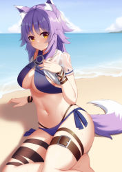 Rule 34 | 1girl, 3:, absurdres, animal ears, arm support, beach, bikini, blue sky, blurry, breasts, brown eyes, cleavage, cloud, cloudy sky, commentary request, depth of field, eyes visible through hair, highres, horizon, kirisame koiiro, large breasts, long hair, looking at viewer, makoto (princess connect!), makoto (summer) (princess connect!), midriff, navel, ocean, princess connect!, purple bikini, purple hair, sidelocks, sitting, sky, solo, swimsuit, tail, wolf ears, wolf girl, wolf tail