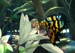 Rule 34 | 1girl, blonde hair, butterfly wings, enokoron, fairy, female focus, flower, insect wings, mini person, minigirl, nature, original, outdoors, ponytail, solo, wings