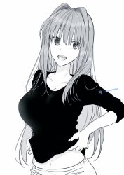 Rule 34 | 10131310, 1girl, aozaki aoko, artist name, black shirt, breasts, commentary request, hair intakes, large breasts, long hair, mahou tsukai no yoru, monochrome, open mouth, shirt, solo, upper body, white background