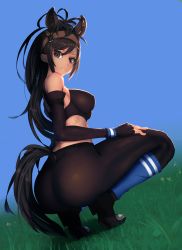 Rule 34 | 10s, 1girl, absurdres, animal ears, ass, bad id, bad pixiv id, bare shoulders, black pantyhose, blue background, breasts, brown eyes, brown hair, brown thoroughbred (kemono friends), covered erect nipples, dark-skinned female, dark skin, elbow gloves, fingerless gloves, gloves, grass, highres, horse ears, horse girl, horse tail, impossible clothes, kemono friends, large breasts, light smile, long hair, looking at viewer, looking back, looking down, pantyhose, pochif, smile, solo, squatting, tail, thighs, tiptoes