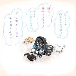 Rule 34 | 1girl, absurdly long hair, animal, aris (blue archive), black hair, black hairband, black socks, blue archive, blue necktie, cabocha8, cat, closed eyes, collared shirt, hairband, jacket, long hair, long sleeves, necktie, no halo, one side up, open clothes, open jacket, open mouth, shirt, shoes, smile, socks, solo, speech bubble, translation request, very long hair, white footwear, white jacket, white shirt