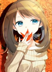 Rule 34 | 1girl, autumn leaves, bad id, bad twitter id, blue eyes, brown hair, collarbone, creatures (company), game freak, leaf, long hair, looking away, maple leaf, may (pokemon), nintendo, pokemon, pokemon rse, solo, sweater, upper body, yuihico