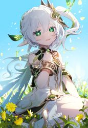 Rule 34 | 1girl, absurdres, aoiro oto, bare shoulders, braid, breasts, cross-shaped pupils, detached sleeves, dress, falling petals, field, flower, flower field, genshin impact, green eyes, green hair, hair between eyes, hair ornament, hand on own chest, highres, kneeling, leaf hair ornament, long hair, looking at viewer, multicolored hair, nahida (genshin impact), outdoors, parted lips, petals, pointy ears, side ponytail, small breasts, smile, solo, streaked hair, symbol-shaped pupils, white dress, white footwear, white hair, yellow flower
