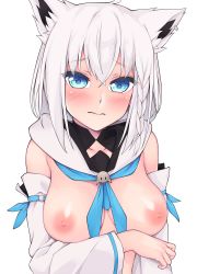 Rule 34 | 1girl, alternate breast size, animal ear fluff, animal ears, blue eyes, blue neckerchief, braid, breasts, closed mouth, collarbone, commentary, crossed bangs, detached sleeves, embarrassed, fox ears, hair between eyes, head tilt, highres, hololive, ishiusu, large breasts, looking at viewer, medium hair, neckerchief, neckwear between breasts, nipples, sailor collar, shirakami fubuki, shirakami fubuki (1st costume), side braid, sidelocks, silver hair, simple background, single braid, solo, standing, topless male, upper body, virtual youtuber, wavy mouth, white background, white sailor collar