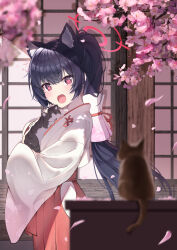 Rule 34 | 1girl, @ @, absurdres, animal ear fluff, animal ears, black hair, blue archive, blurry, blush, cat, cat ears, cherry blossoms, commentary, depth of field, falling petals, fang, gohei, hair tubes, hakama, hakama skirt, halo, haraegushi, highres, japanese clothes, kimono, long hair, looking at viewer, miko, official alternate costume, oonusa, open mouth, petals, ponytail, red eyes, red hakama, red skirt, serika (blue archive), serika (new year) (blue archive), shan (ti0n), skirt, solo, standing, very long hair, white kimono, wide sleeves