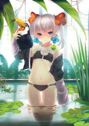 Rule 34 | 1girl, arm up, backlighting, bad id, bad pixiv id, bare shoulders, bikini, bird, blue eyes, child, cleavage cutout, clothing cutout, collarbone, dancho (dancyo), detached sleeves, earrings, flat chest, flower, flower earrings, grey hair, groin, hair flower, hair ornament, jacket, jewelry, lily pad, long sleeves, looking at viewer, lowleg, lowleg bikini, navel, original, partially submerged, reflection, short hair, short twintails, skull.03, sleeves past wrists, solo, swimsuit, thigh gap, toucan, twintails, wading, water, wet