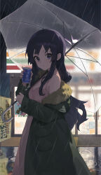 Rule 34 | 1girl, 7-eleven, absurdres, akiyama mio, black eyes, black hair, breasts, can, cleavage, coat, commentary request, dress, drink, fur-trimmed coat, fur trim, green coat, highres, holding, holding can, holding drink, holding umbrella, huomianbao39445, k-on!, long hair, looking at viewer, medium breasts, night, night sky, outdoors, pink dress, pocket, rain, reflection, sky, solo, standing, transparent, transparent umbrella, umbrella