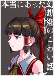 Rule 34 | 1girl, bad id, bad pixiv id, bow, brown hair, detached sleeves, frilled bow, frills, hair tubes, hakurei reimu, iroiro yaru hito, ponytail, portrait, red bow, simple background, solo, touhou, translation request