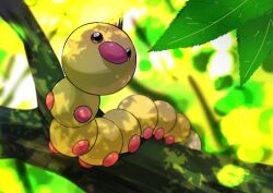 Rule 34 | animal focus, branch, brown eyes, bug, caterpillar, commentary request, creatures (company), day, game freak, gen 1 pokemon, horns, in tree, leaf, looking up, nintendo, no humans, omega takai, outdoors, pokemon, pokemon (creature), single horn, tree, weedle