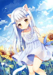 Rule 34 | 1girl, animal ear fluff, animal ears, arms behind back, bare shoulders, blue choker, blue dress, blue sky, blush, bow, brown eyes, brown hat, cat ears, cat girl, cat tail, choker, closed mouth, cloud, cloudy sky, collarbone, commentary request, day, dress, dutch angle, field, flower, flower field, hair bow, hat, highres, holding, holding clothes, holding hat, long hair, mauve, original, outdoors, red bow, sky, sleeveless, sleeveless dress, smile, solo, sun hat, sunflower, sunflower field, sunlight, tail, unworn hat, unworn headwear, white hair, yellow flower