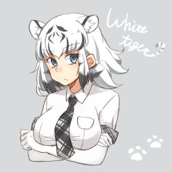 Rule 34 | 10s, 1girl, animal ears, black hair, blue eyes, character name, crossed arms, elbow gloves, gloves, heart, heart-shaped pupils, highres, kemono friends, looking at viewer, multicolored hair, necktie, paw print, paw print background, plaid, plaid necktie, plaid neckwear, shiro namida, shirt, short hair, short sleeves, solo, symbol-shaped pupils, tiger ears, upper body, white hair, white legwear, white shirt, white tiger (kemono friends), white tiger print
