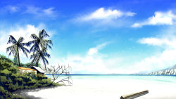 Rule 34 | beach, day, no humans, original, outdoors, palm tree, scenery, sky, tree, yuuki makoto (radiant)