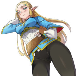 Rule 34 | 1girl, belt, black pants, blonde hair, blue tunic, blush, breasts, cameltoe, from below, gluteal fold, green eyes, long hair, looking at viewer, looking down, medium breasts, monbetsu kuniharu, nintendo, pants, pointy ears, princess zelda, solo, standing, the legend of zelda, the legend of zelda: breath of the wild, thick eyebrows, thigh gap, thighs, tight clothes, tight pants