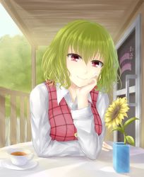 Rule 34 | 1girl, bad id, bad pixiv id, buttons, cup, door, female focus, flower, green hair, head rest, kazami yuuka, long sleeves, looking at viewer, pink eyes, pov, pov across table, primamiya, shirt, short hair, smile, solo, sunflower, sunlight, table, teacup, touhou, vase, vest