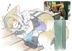 Rule 34 | 1girl, animal ear fluff, animal ears, arknights, black footwear, blonde hair, blue hairband, blush, boots, braid, closed eyes, commentary request, fox, fox ears, fox girl, fox tail, grin, hairband, highres, kitsune, long hair, parted lips, photo-referenced, photo inset, reference inset, scrunchie, semi colon, simple background, sketch, sleeping, smile, suzuran (arknights), tail, white background, wrist scrunchie, zzz