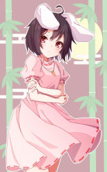 Rule 34 | 1girl, ahoge, animal ears, bamboo, black hair, carrot necklace, cowboy shot, dress, expressionless, full moon, highres, inaba tewi, looking at viewer, moon, nankotsu, necklace, pink dress, puffy short sleeves, puffy sleeves, rabbit ears, red eyes, ribbon-trimmed dress, ribbon-trimmed sleeves, ribbon trim, short hair, short sleeves, solo, standing, touhou