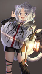 Rule 34 | 1girl, :d, animal ears, artist name, black shirt, black shorts, bracelet, braid, coat, detached collar, garter straps, grey eyes, grey hair, hair tie, highres, holding, holding lantern, hood, hood down, hooded coat, jewelry, lantern, long sleeves, looking at viewer, mitake eil, open mouth, original, shirt, short hair, short shorts, shorts, side braid, signature, single thighhigh, smile, solo, standing, tail, tail ornament, thigh strap, thighhighs, white coat