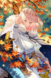 Rule 34 | 1boy, autumn, autumn leaves, blue eyes, bug, butterfly, butterfly on hand, cape, fate/grand order, fate (series), fur-trimmed cape, fur trim, highres, insect, male focus, michi (iawei), oberon (fate), smile, tunic