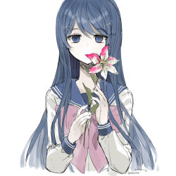 Rule 34 | 1girl, artist name, blue eyes, blue hair, blue sailor collar, bow, bowtie, covering own mouth, cropped torso, dalrye v3, danganronpa: trigger happy havoc, danganronpa (series), flower, grey background, hair ornament, hairclip, holding, holding flower, long hair, long sleeves, looking at viewer, maizono sayaka, pink bow, pink bowtie, pink flower, sailor collar, school uniform, simple background, solo, upper body