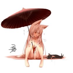 Rule 34 | 1girl, animal ear fluff, animal ears, breasts, cat, cleavage, collarbone, eyebrows, fox ears, fox tail, kohaku (yua), long hair, oil-paper umbrella, open mouth, original, simple background, sitting, sweat, tail, thick eyebrows, translated, umbrella, white hair, yellow eyes, yua (checkmate)