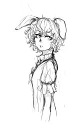 Rule 34 | 1girl, animal ears, bad id, bad pixiv id, rabbit ears, carrot, carrot necklace, expressionless, female focus, greyscale, inaba tewi, jewelry, kurkoboltsi, monochrome, necklace, pendant, short hair, short sleeves, sketch, solo, touhou, upper body