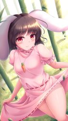 Rule 34 | 1girl, :3, animal ears, bamboo, bamboo forest, bare legs, blush, breasts, brown hair, carrot necklace, clothes lift, dress, dress lift, floppy ears, forest, frilled sleeves, frills, highres, holding, holding clothes, holding dress, imperishable night, inaba tewi, jewelry, lzh, medium breasts, nature, necklace, panties, pantyshot, pink dress, pink shirt, pink skirt, puffy short sleeves, puffy sleeves, rabbit ears, rabbit girl, rabbit tail, red eyes, ribbon-trimmed dress, ribbon-trimmed skirt, ribbon trim, shirt, short sleeves, skirt, skirt lift, smile, solo, tail, thighs, touhou, underwear, upskirt, wavy hair, white panties
